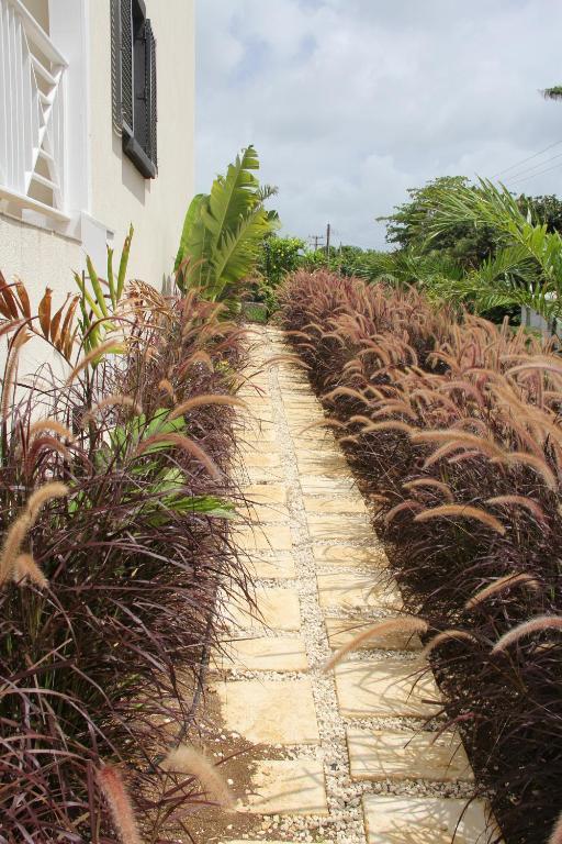 Lantana Resort Barbados By Island Villas سانت جيمس المظهر الخارجي الصورة